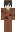 snsunzhen Minecraft Skin