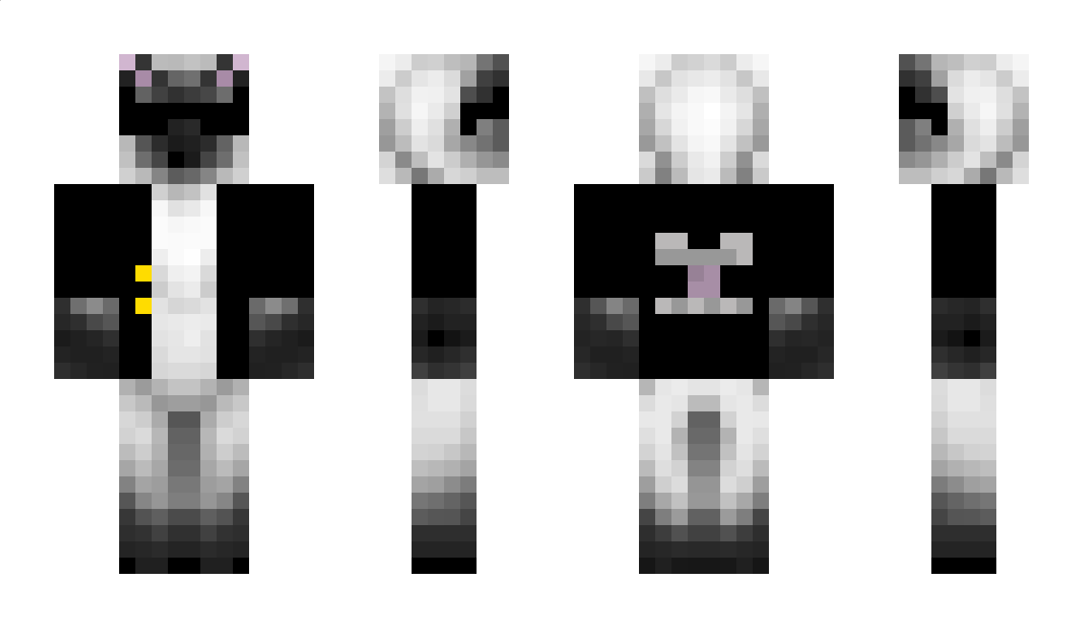 IamCat_ Minecraft Skin