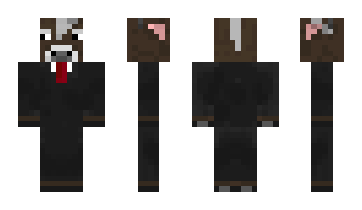 9suw9suw9 Minecraft Skin