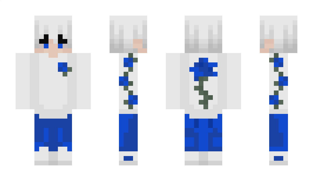 BrinyTiger80721 Minecraft Skin