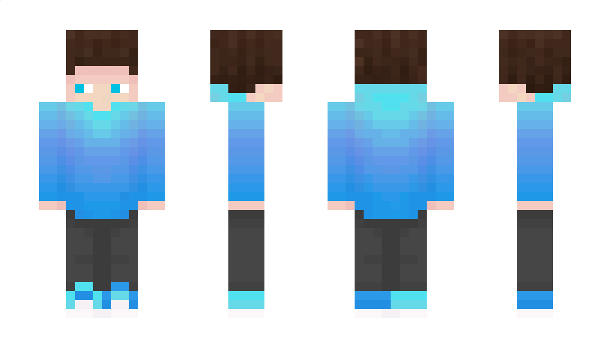 HollunderTee Minecraft Skin