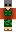 CocoRose Minecraft Skin