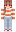 Mentalkatt Minecraft Skin