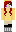 zelkoi Minecraft Skin