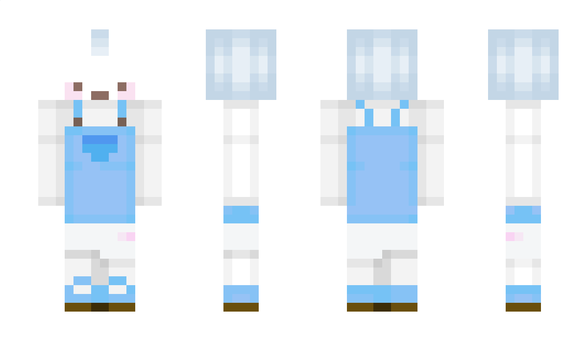 NABottle Minecraft Skin