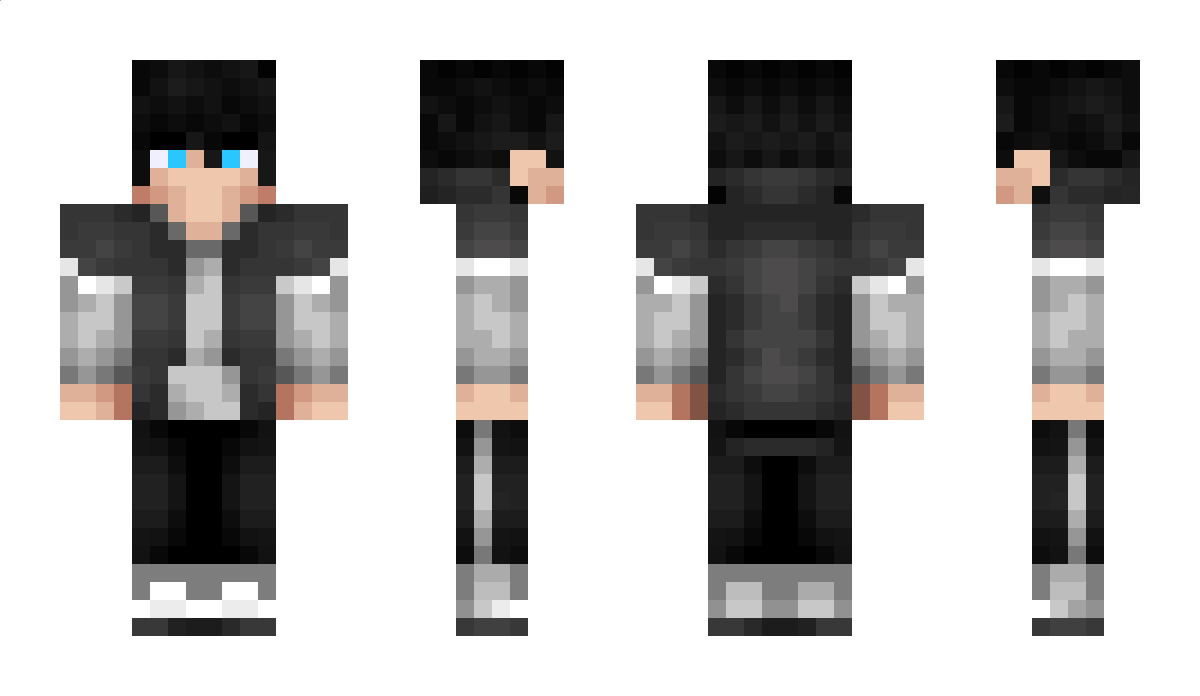 Accords Minecraft Skin