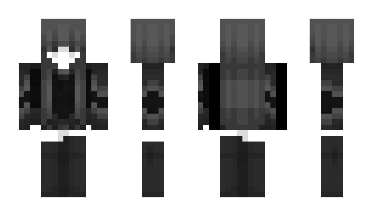 rav3nix Minecraft Skin