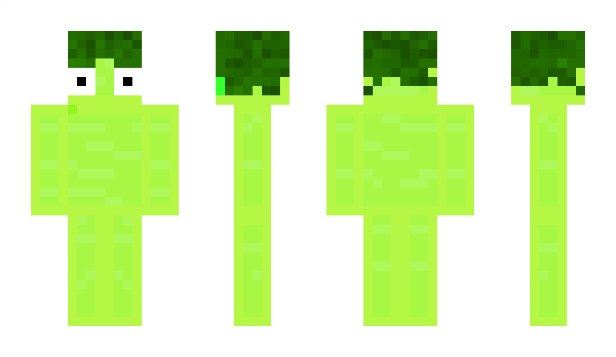 Lqoo_ Minecraft Skin