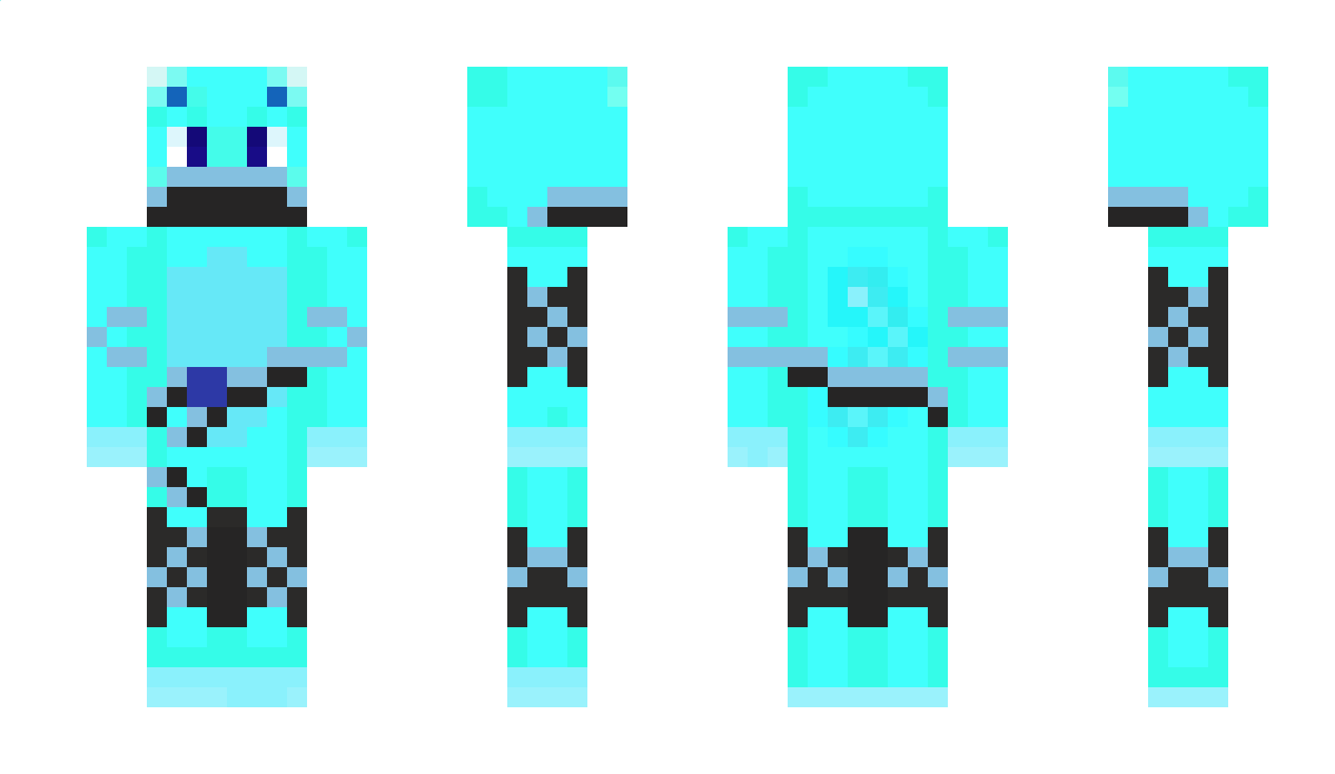 Ninjacat1008 Minecraft Skin