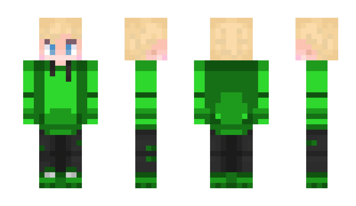 pimsmeets Minecraft Skin