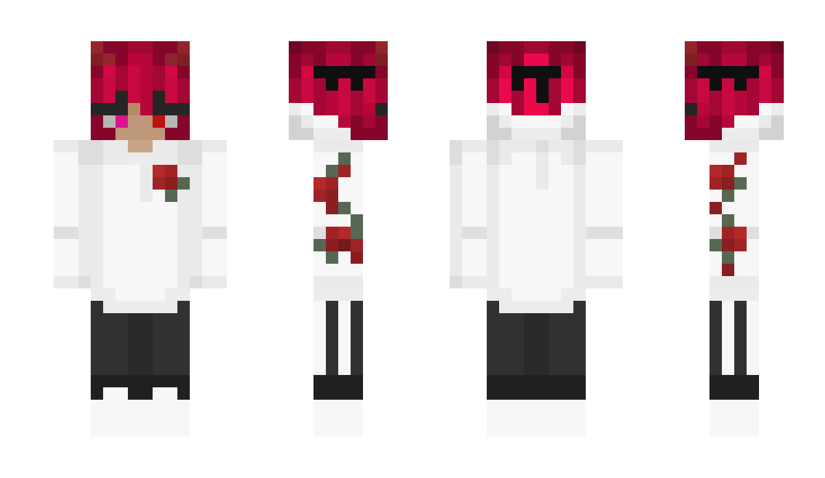 OppaPary Minecraft Skin