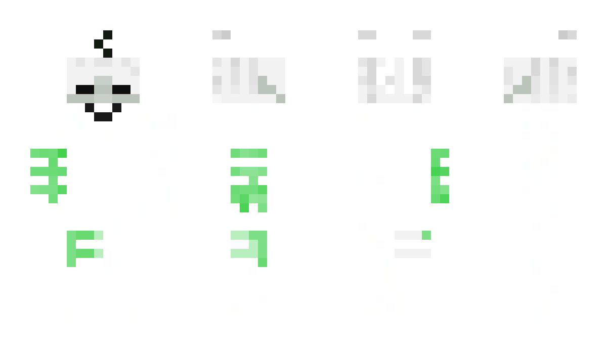 shuu0201 Minecraft Skin