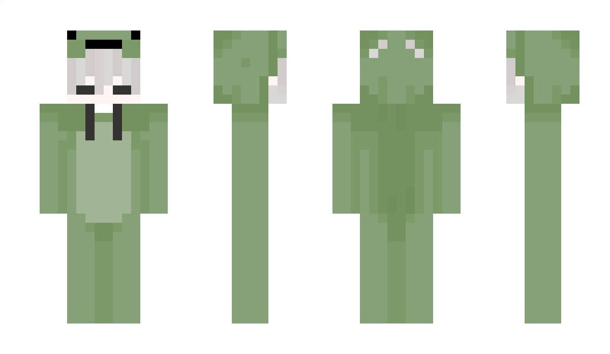 ZH1D4N Minecraft Skin