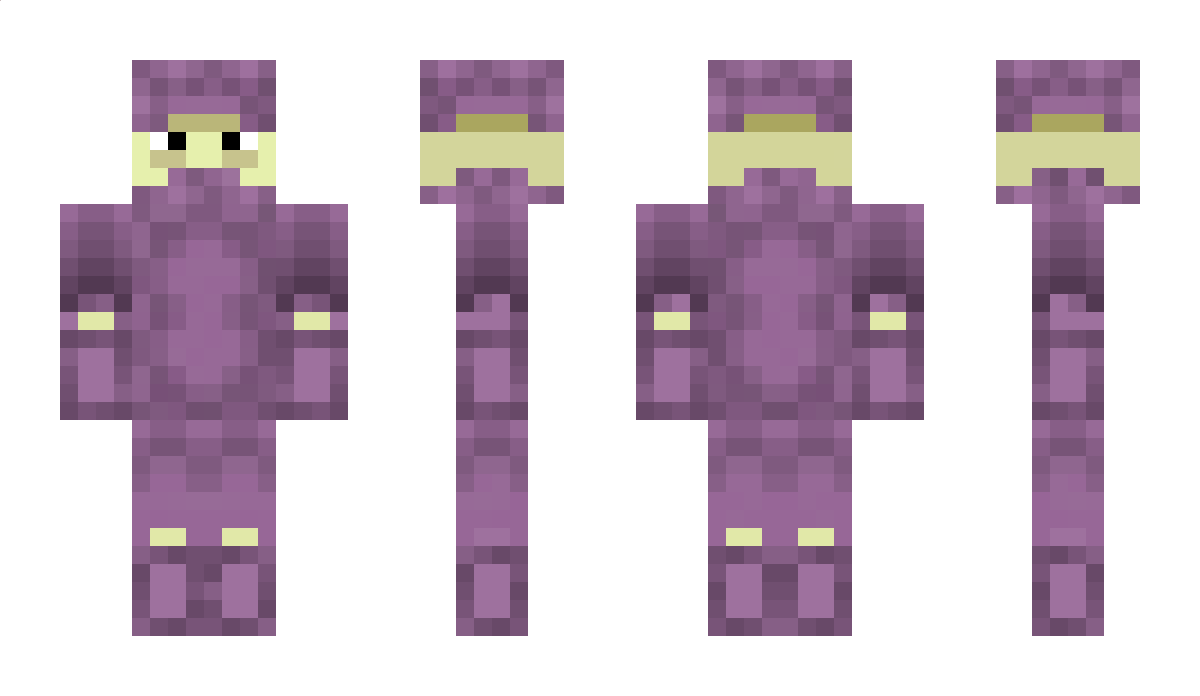 ShulkerDreams Minecraft Skin