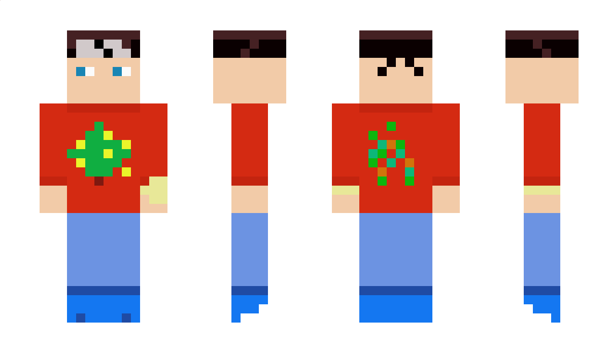 Palu11 Minecraft Skin