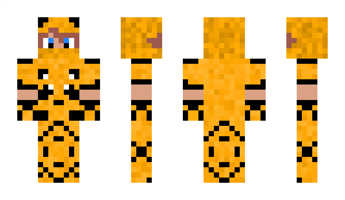 Endoxos Minecraft Skin