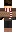 Azir_33X Minecraft Skin