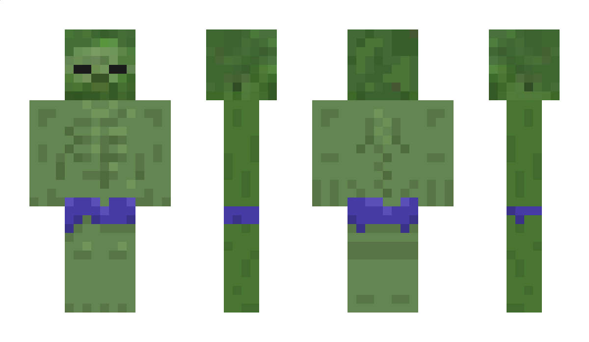 VVyl0t Minecraft Skin