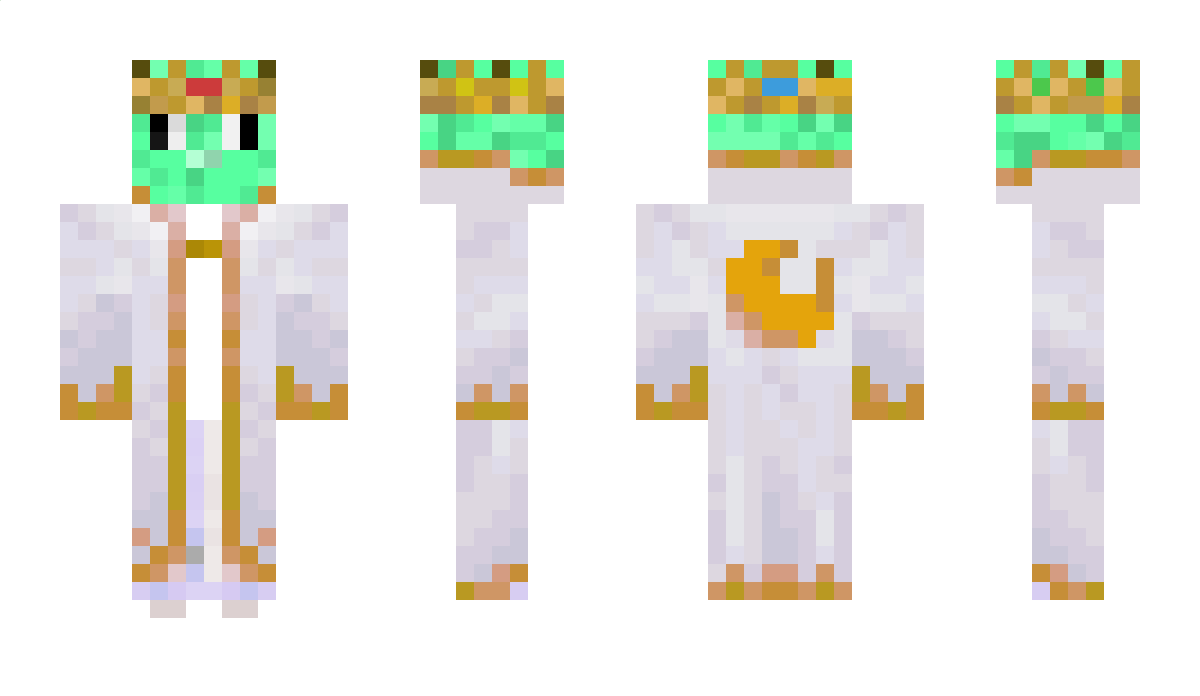 STROIG Minecraft Skin