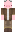Piggiesrule03 Minecraft Skin