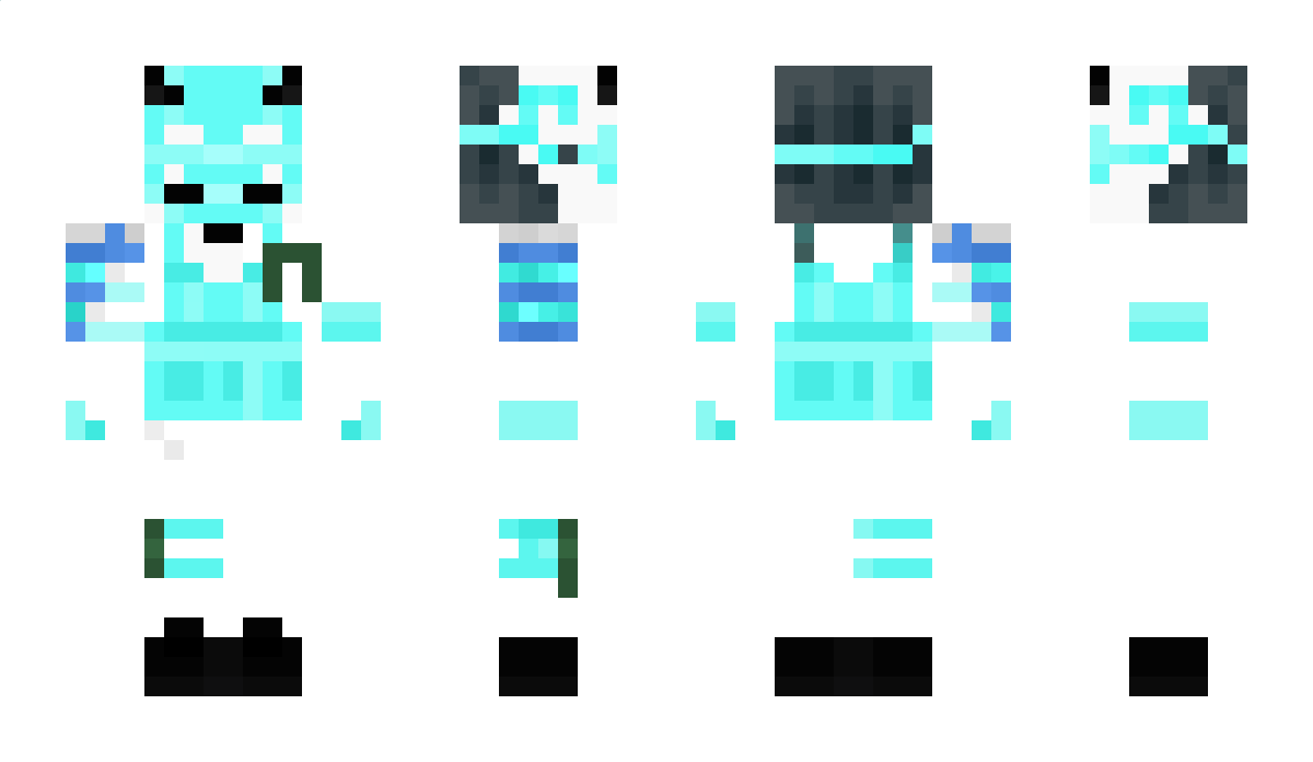 Evior_Le Minecraft Skin