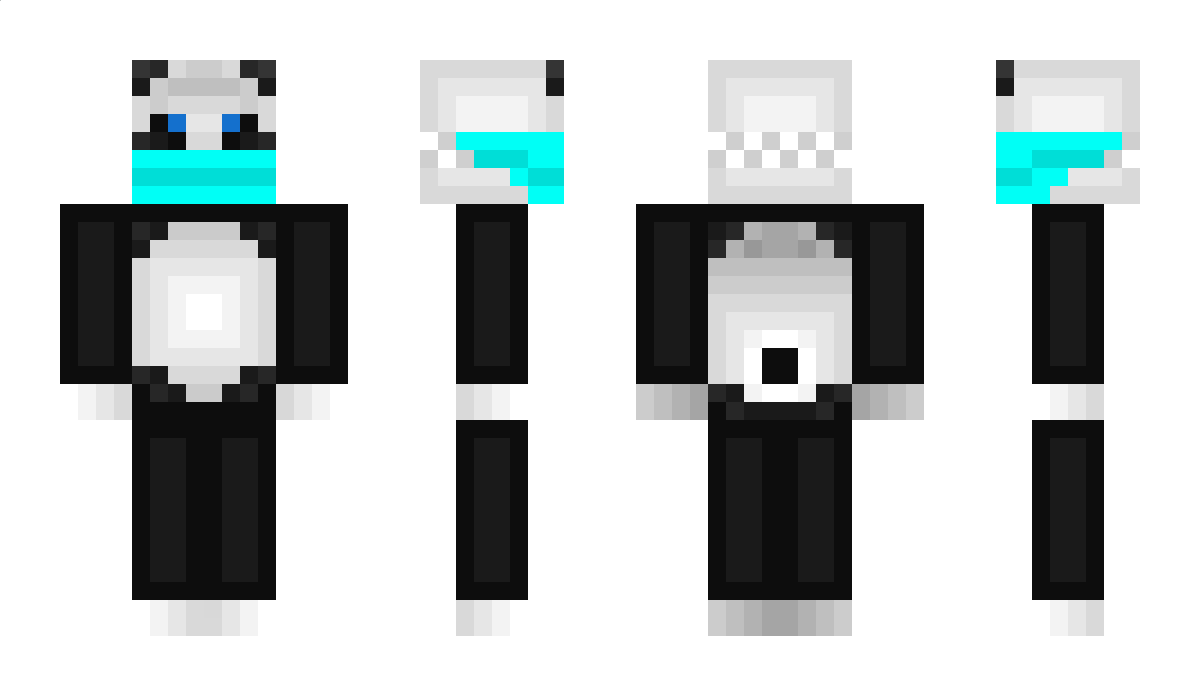 P4nd4 Minecraft Skin