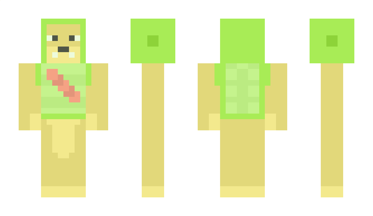 Ocarino2x Minecraft Skin