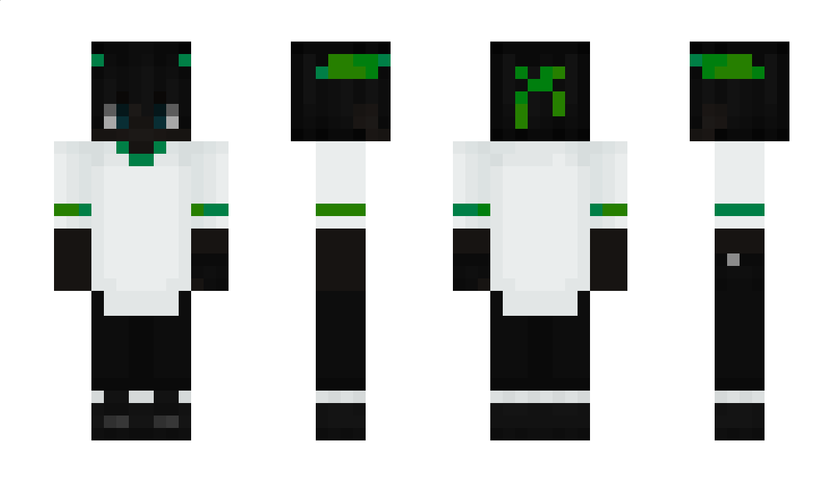 Paauley Minecraft Skin