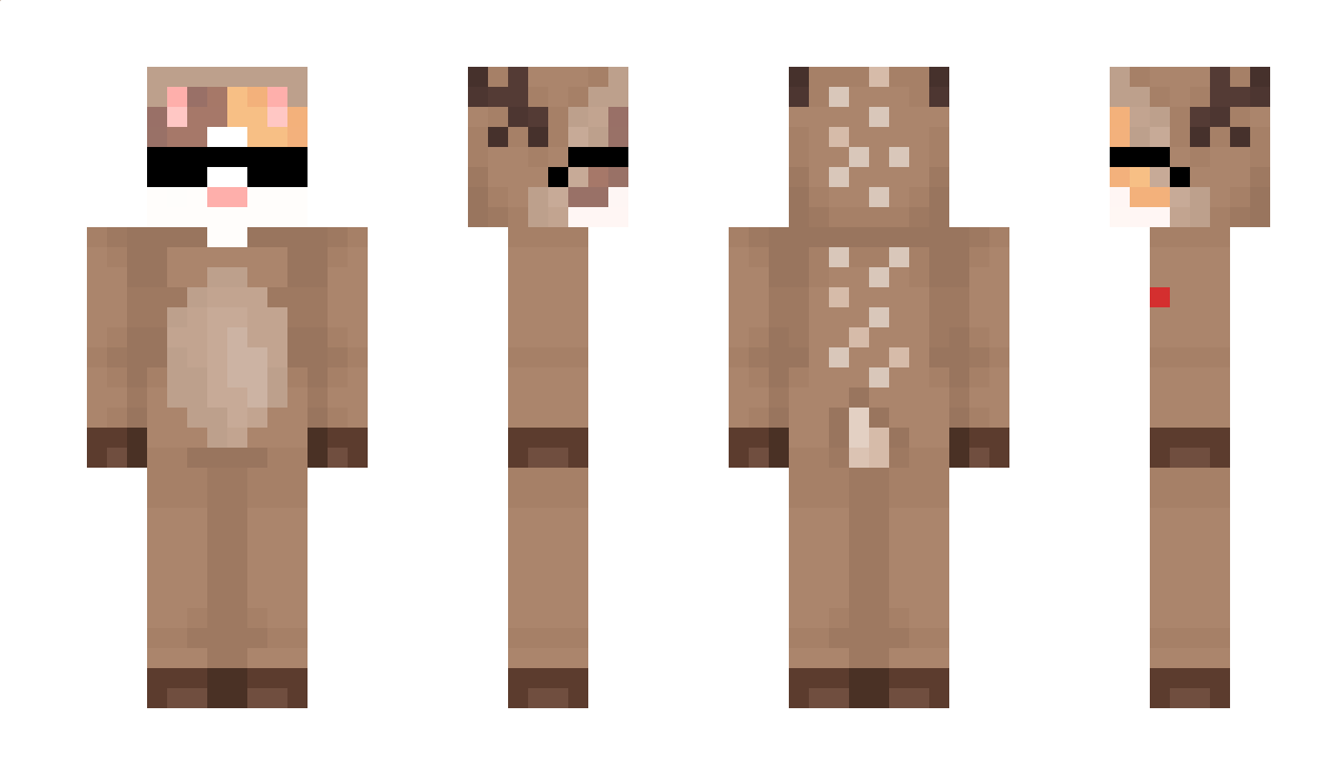 crainerbunny Minecraft Skin