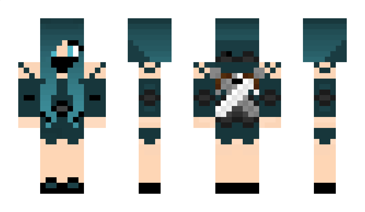 Decoration Minecraft Skin