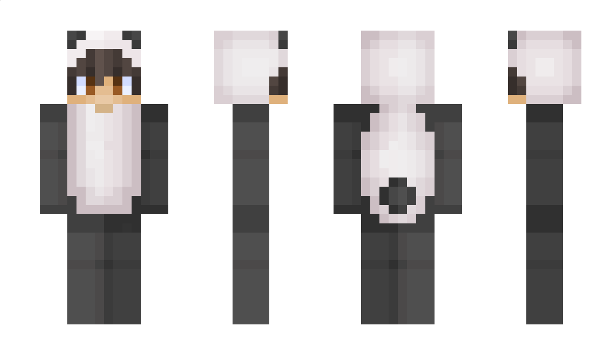 Vxsion Minecraft Skin