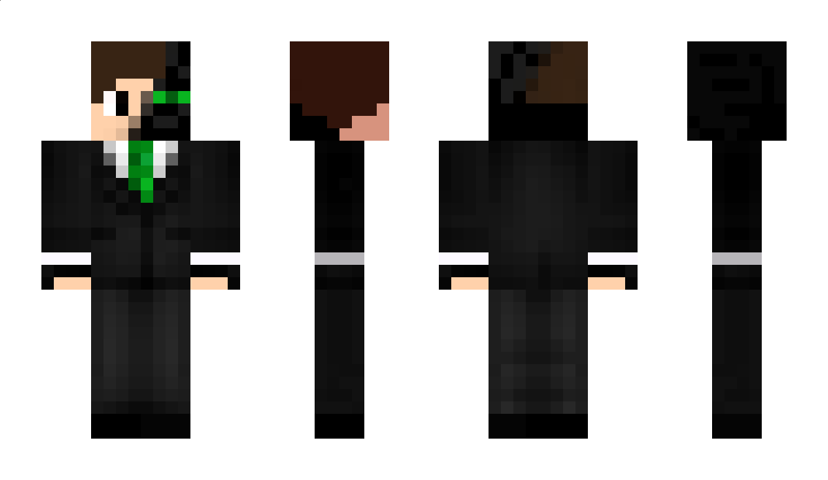 12fly Minecraft Skin