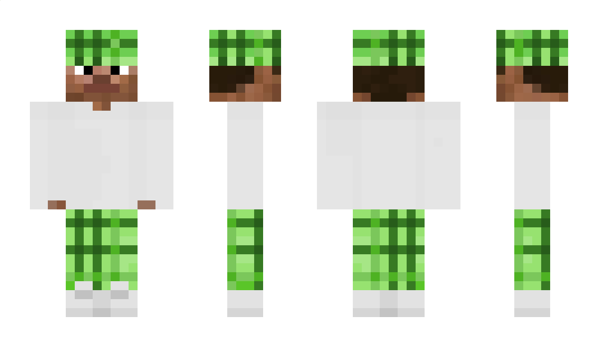 Frutiger_Aero Minecraft Skin