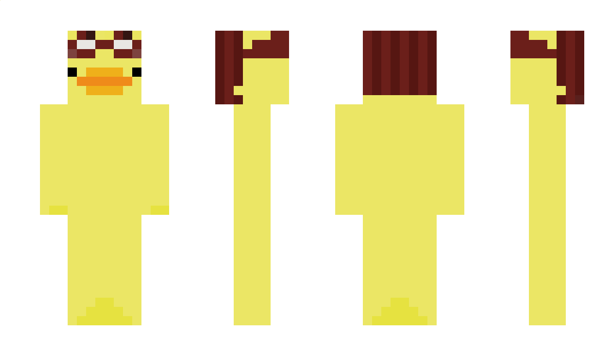 PilotDuck Minecraft Skin