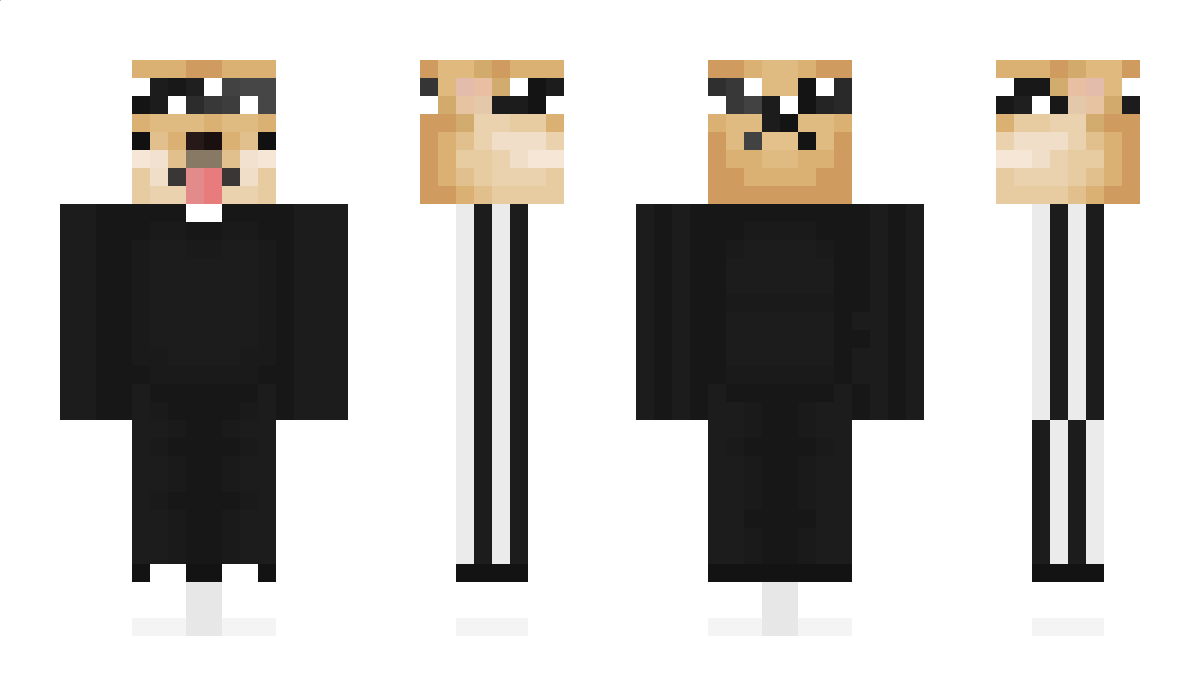 Vejpik Minecraft Skin