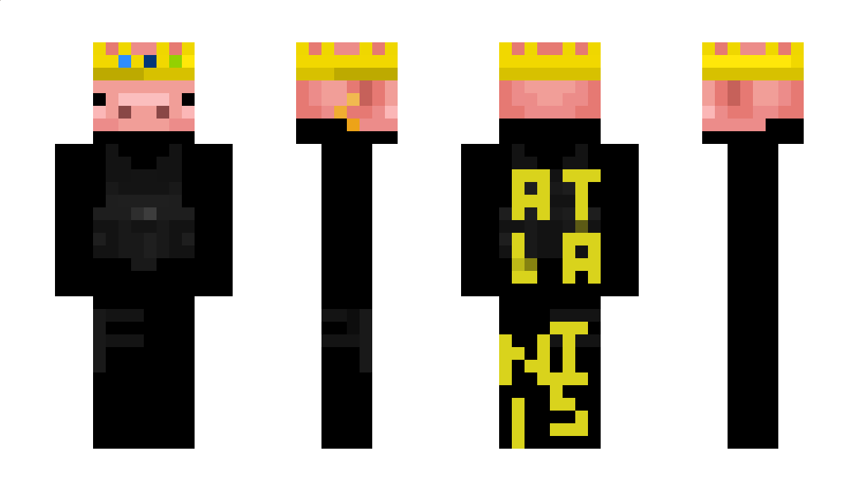 QuickCarryer Minecraft Skin