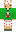 Fritten Minecraft Skin