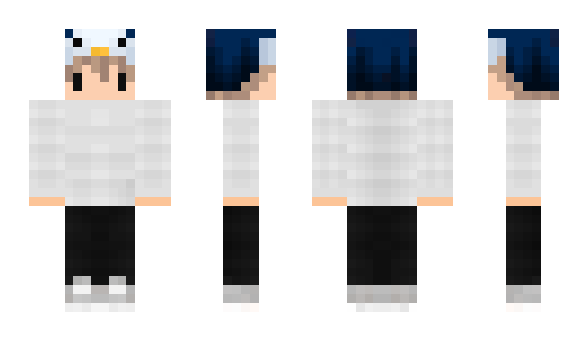 PoohkungzXD Minecraft Skin