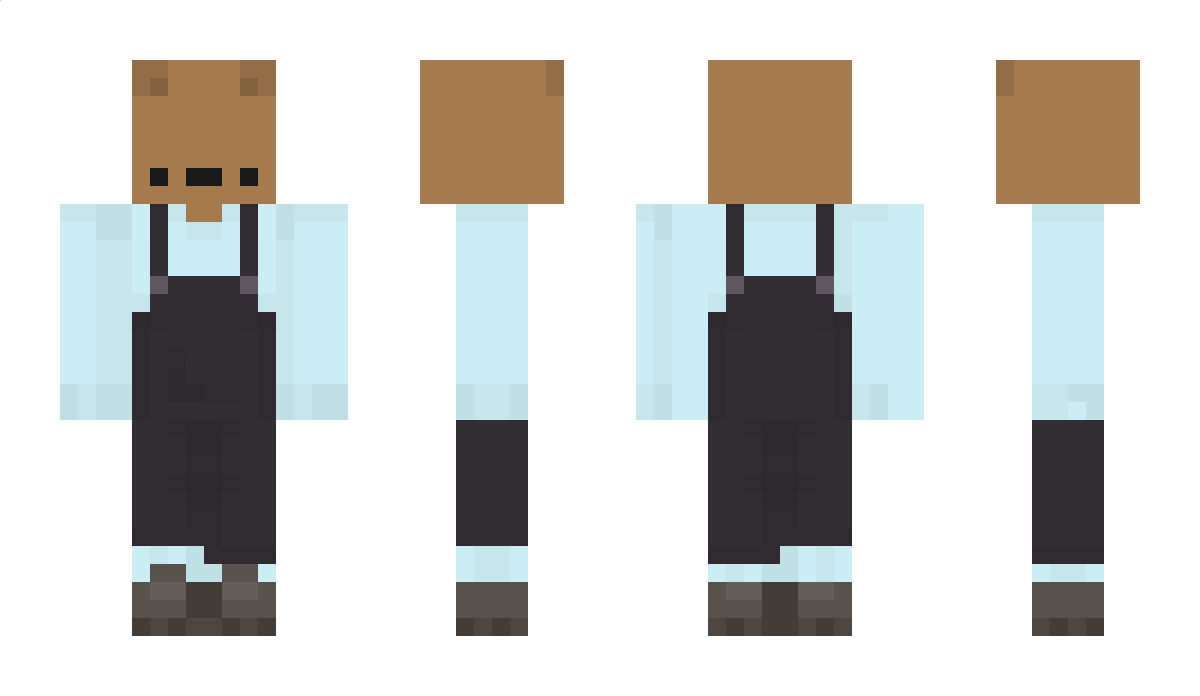 Brumikfv Minecraft Skin