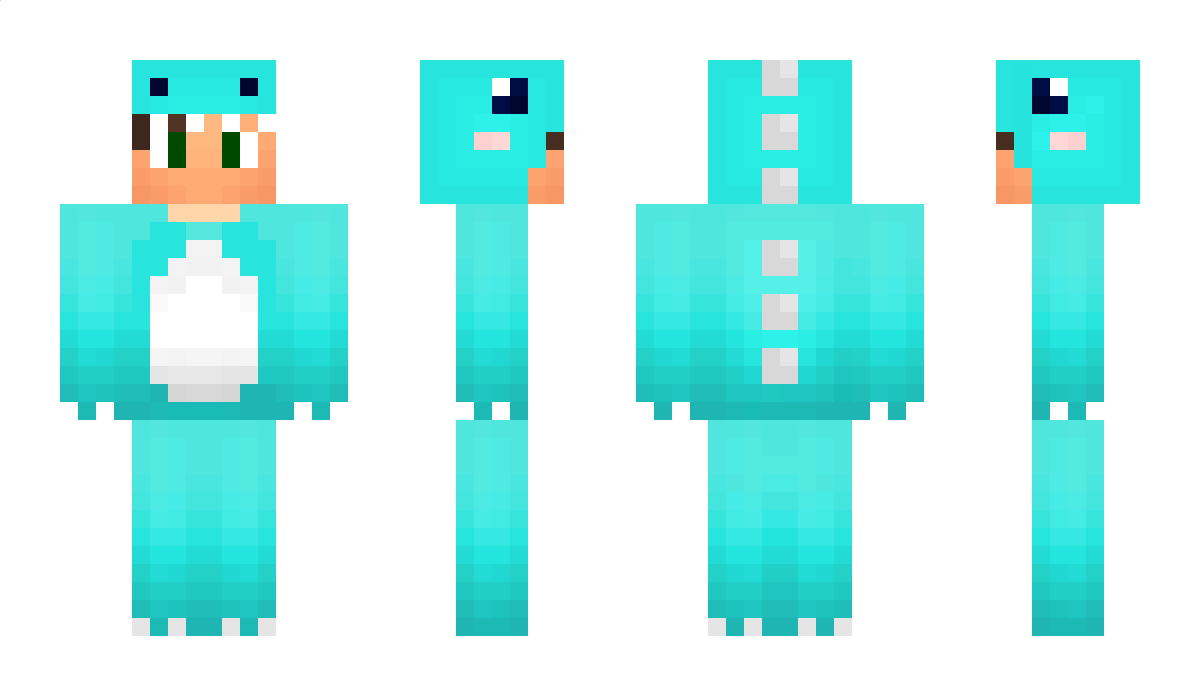 Nicnoc123 Minecraft Skin