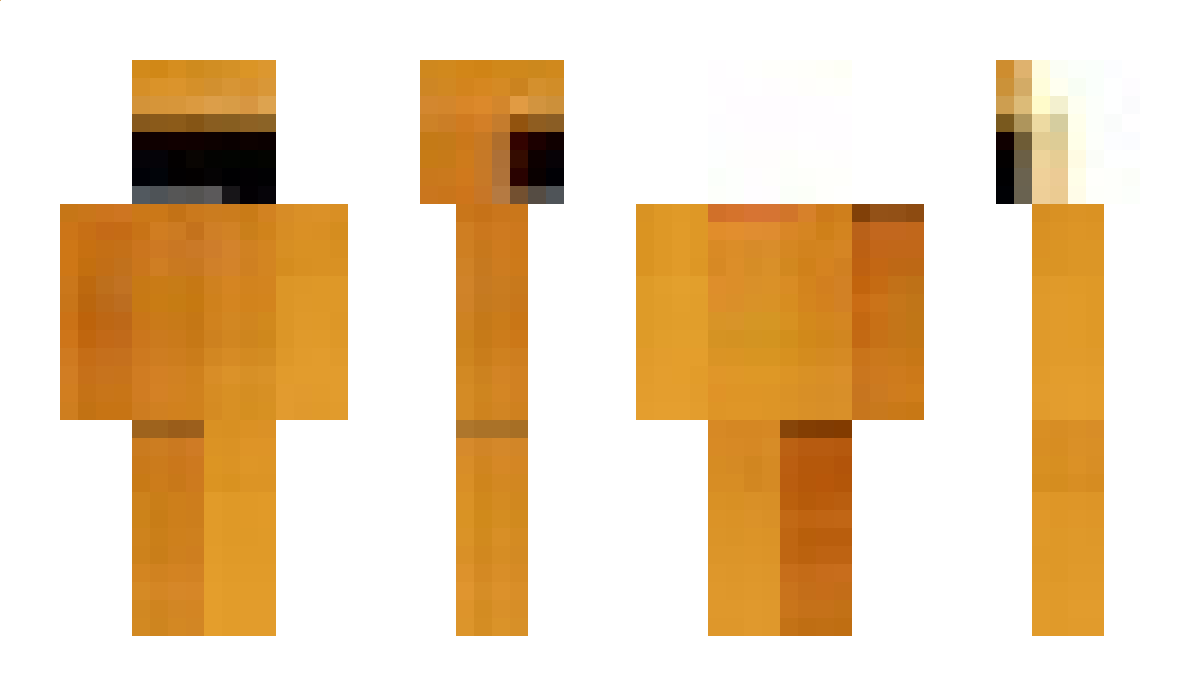 SaneTurtle Minecraft Skin