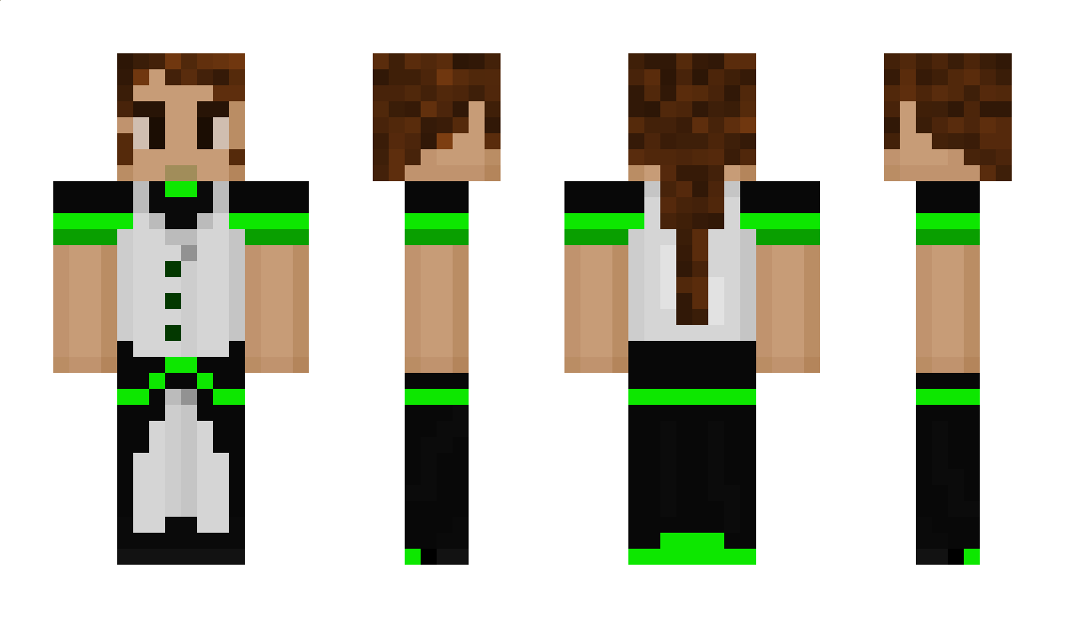 Vixcalibur Minecraft Skin