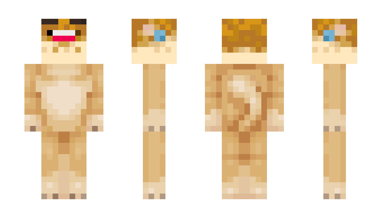 akkpn Minecraft Skin