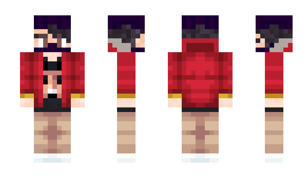 Shullker Minecraft Skin