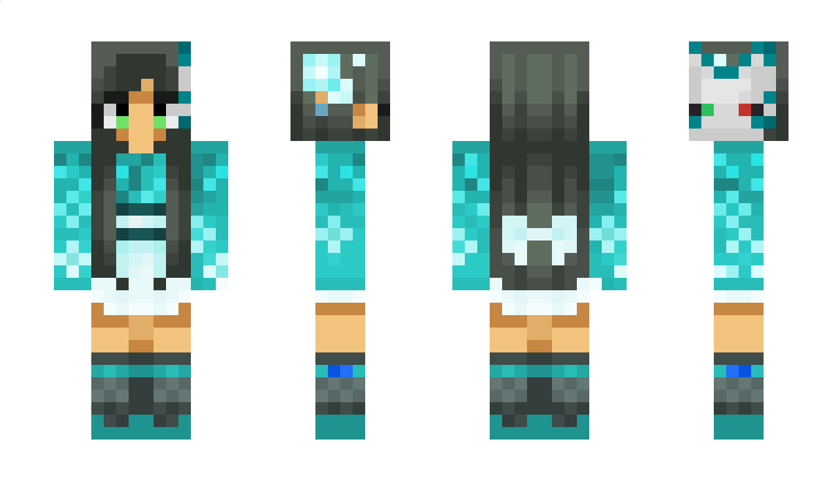 IonicCrowdVT Minecraft Skin