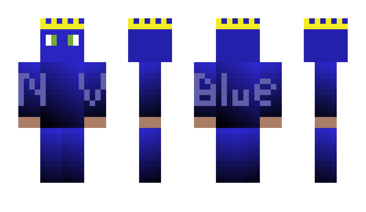 BlueberryNV Minecraft Skin