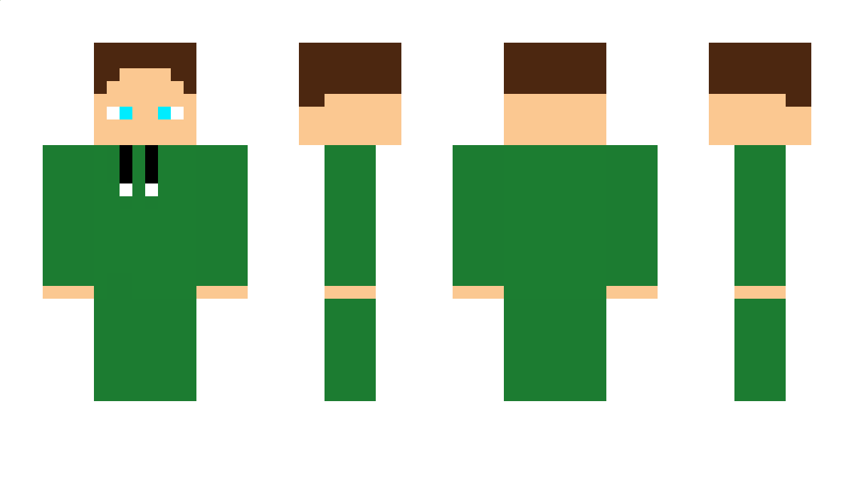 Domistein Minecraft Skin