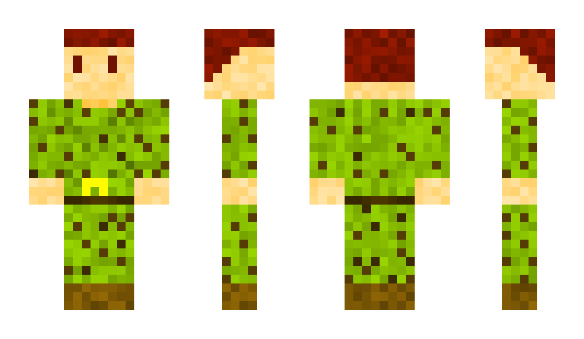 Droid_ Minecraft Skin