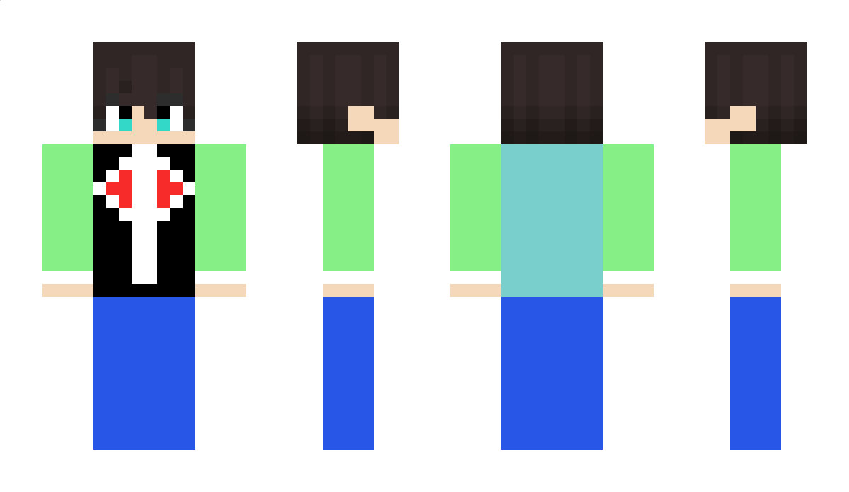 sw5729 Minecraft Skin