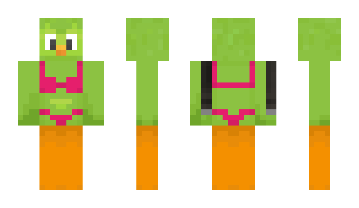 DuolingoBrasil Minecraft Skin